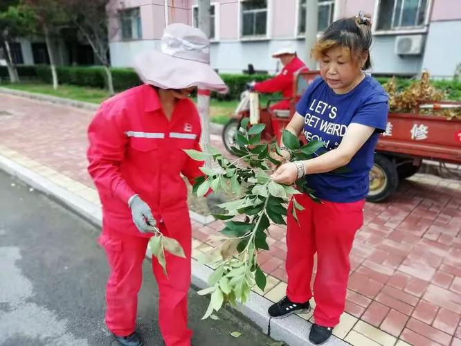 濱南服務(wù)部時(shí)新春服務(wù)班:病蟲害防治工作不放松